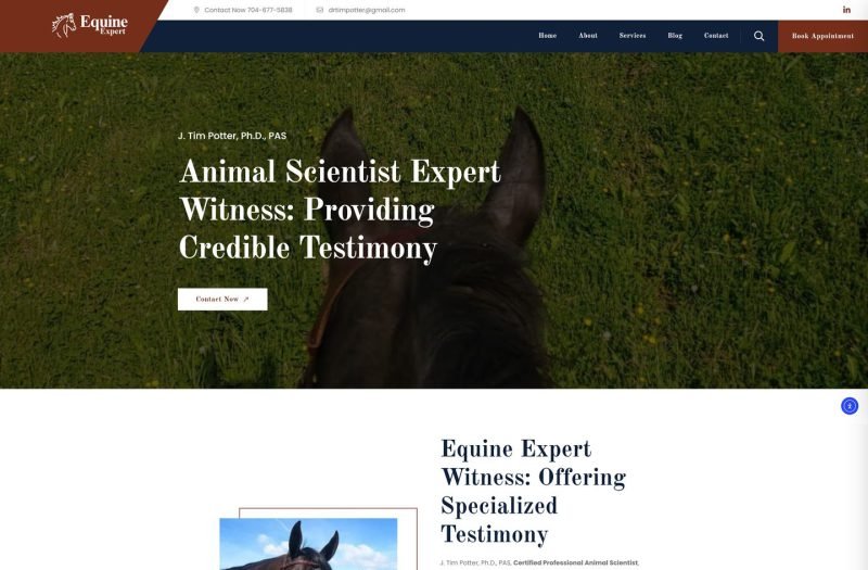 Equine Expert website homepage design